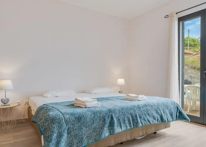 Flor سانتا كروز